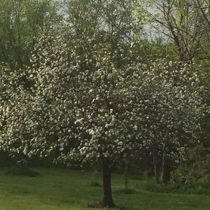 Meet your Posher, Sophie-tanya